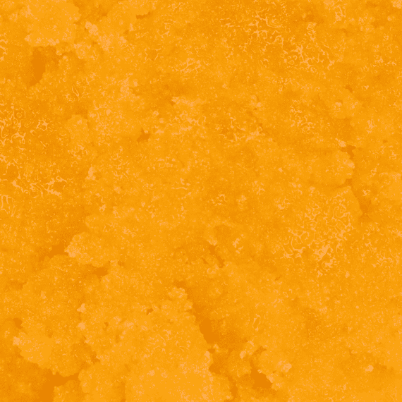 Buy Dragonfruit Live Resin online — balanced hybrid for daytime creativity or evening chill.
