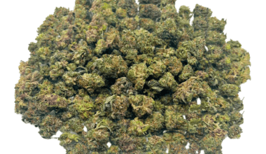 Rainbow Sherbert - Popcorn (1/4 LB - 2 LB)