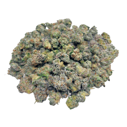 Blue Lobster (Crop #2) - Popcorn (1/4 LB - 2 LB)