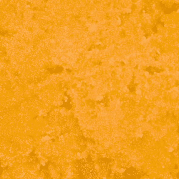 4 15