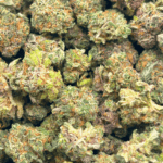 Rainbow Sherbert - Popcorn (1/4 LB - 2 LB) - Image 4