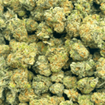 Sundae Driver - Popcorn - Image 4