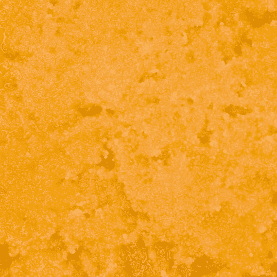 5 15