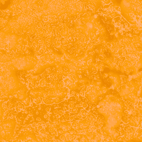 5 19