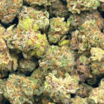 Rainbow Sherbert - Popcorn - Image 5