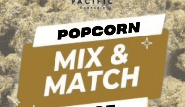 Popcorn - Mix & Match - 1 oz (7g x 4)