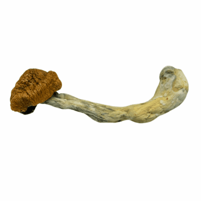 Blue Meanies - Magic Mushrooms