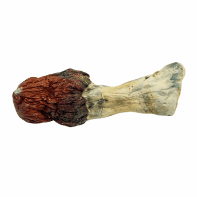 Blue Pulaski - Magic Mushrooms