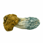 Avalanche - Magic Mushrooms