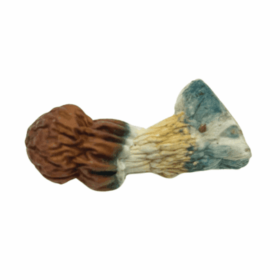 Vietnamese - Magic Mushrooms