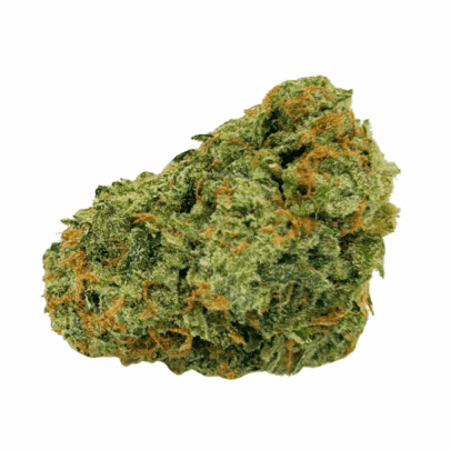 Alien Gorilla (Crop #2) - AAAA