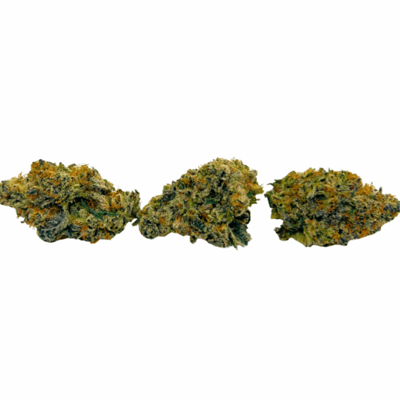 Strawberry Gary Peyton (Crop #2) - AAAA - Image 2