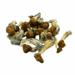 Blue Meanies - Magic Mushrooms - Image 2