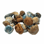 Trinity - Magic Mushrooms - Image 4