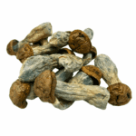 Tidal Wave - Magic Mushrooms - Image 2