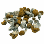 Avalanche - Magic Mushrooms - Image 2