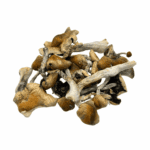 Harlequin - Magic Mushrooms - Image 2
