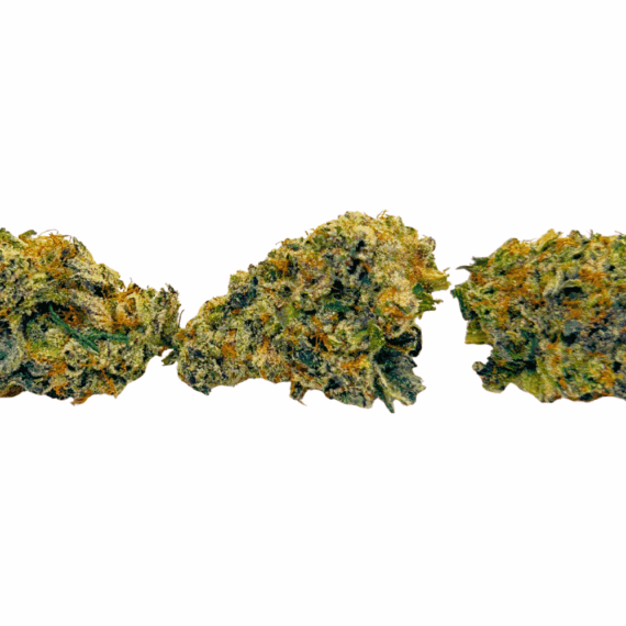 Strawberry Gary Peyton (Crop #2) - AAAA - Image 3