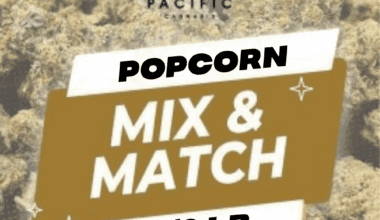 Popcorn - Mix & Match - 1/2 LB (28g x 8)