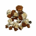 Bluey Vuitton - Magic Mushrooms - Image 3