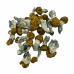 Avalanche - Magic Mushrooms - Image 3