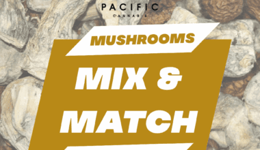 Mushrooms - Mix & Match - 1/4 LB (28g x 4)