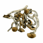 Thrasher - Magic Mushrooms - Image 3