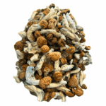 Blue Meanies - Magic Mushrooms - Image 4