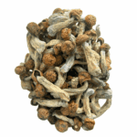 Penis Envy - Magic Mushrooms - Image 4