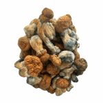 Trinity - Magic Mushrooms - Image 2