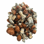 Blue Pulaski - Magic Mushrooms - Image 4