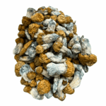 Avalanche - Magic Mushrooms - Image 4