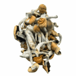 Hillcap - Magic Mushrooms - Image 4