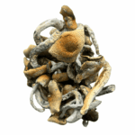 Thrasher - Magic Mushrooms - Image 4