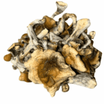Harlequin - Magic Mushrooms - Image 4