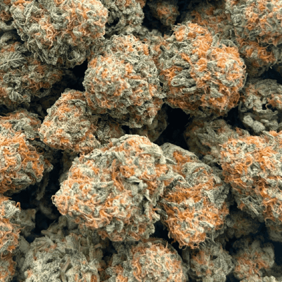 Cherry Pie - AAA - Image 5