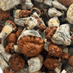 Bluey Vuitton - Magic Mushrooms - Image 5