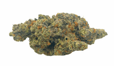 Frumpz (Crop #5) - Craft Cannabis