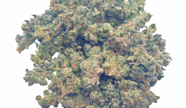 LA Runtz - Popcorn (1/4 LB - 2 LB)