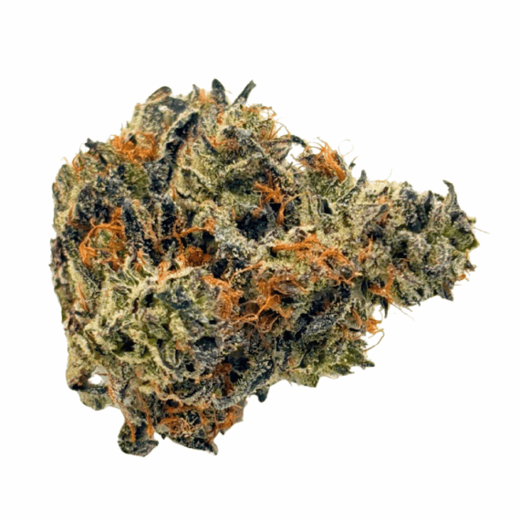 White Truffle - AAAA (1/4 LB - 2 LB) - Image 1