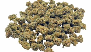 Fruity Pebbles OG- Popcorn (1/4 LB - 2 LB)