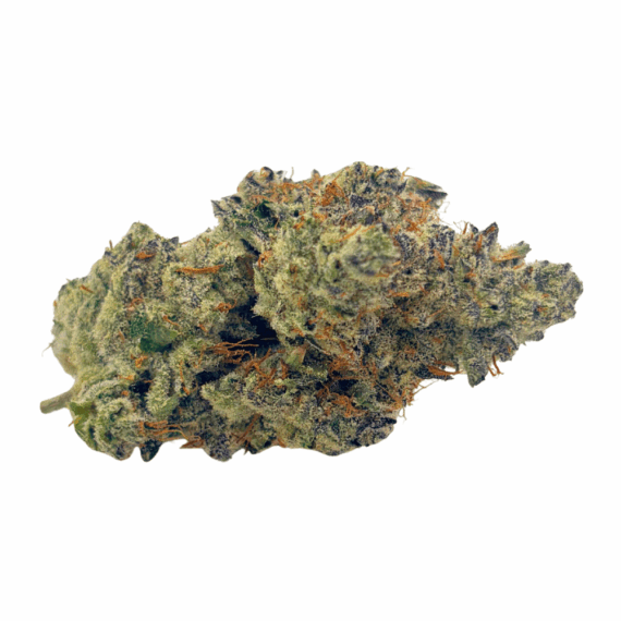 Blue Lobster (Crop #4) - Craft Cannabis - Image 1