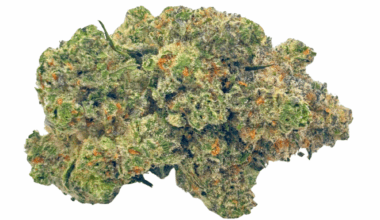 Animal Face - Craft Cannabis (1/4 LB - 1 LB)