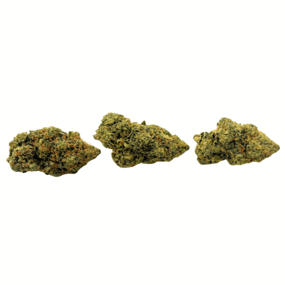 Amnesia Haze - Craft Cannabis - Image 2