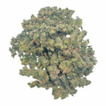 LA Runtz - Popcorn (1/4 LB - 2 LB) - Image 2