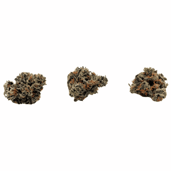 White Truffle - AAAA (1/4 LB - 2 LB) - Image 2