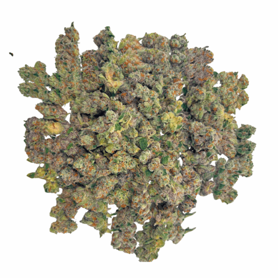 Frumpz (Crop #3) - Popcorn - Image 2