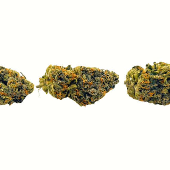 Sunset Sherbert - AAAA - Image 2