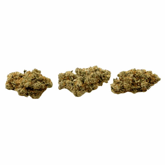 Blueberry Pie - Craft Cannabis (1/4 LB - 1 LB) - Image 3