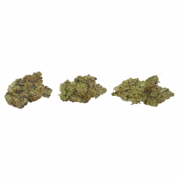 Blue Lobster (Crop #4) - Craft Cannabis (1/4 LB - 1 LB) - Image 2